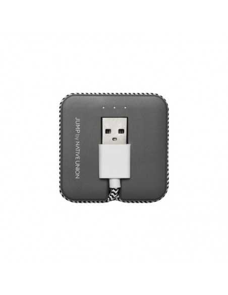 Kabel do ładowania i power bank Micro USB zebra