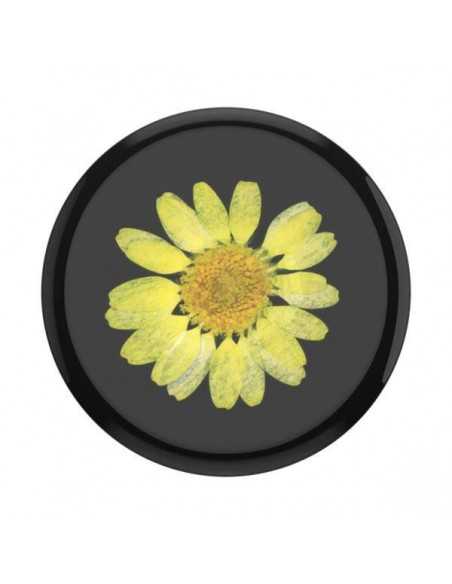 Popsockets uchwyt Pressed Flower Yellow Daisy